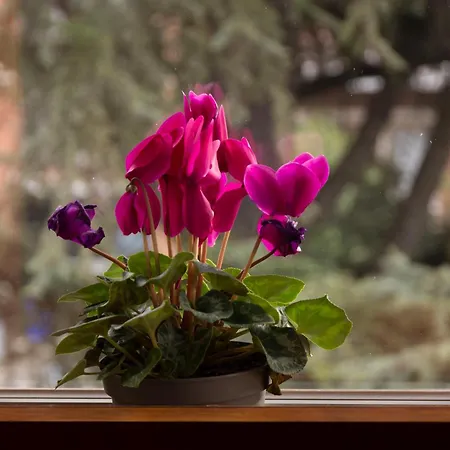 Casa Giuly Апартаменты Парма