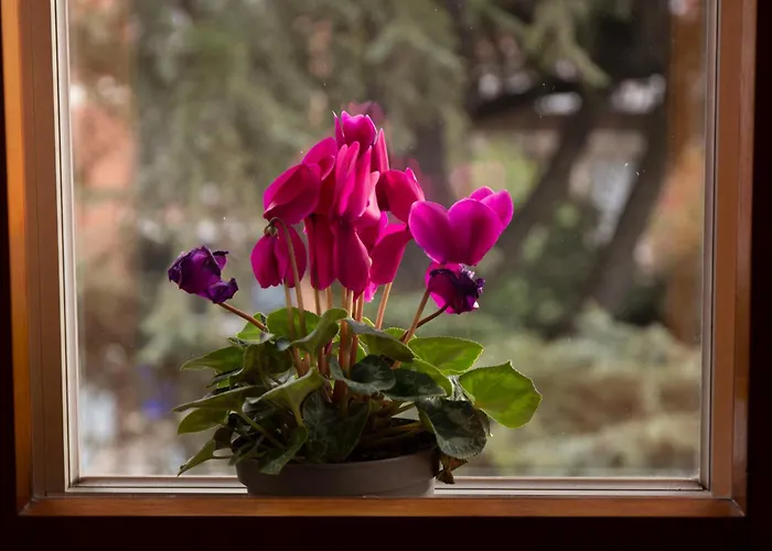 Casa Giuly Daire Parma